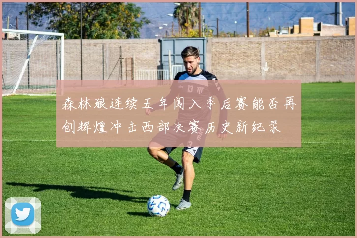 森林狼连续五年闯入季后赛能否再创辉煌冲击西部决赛历史新纪录